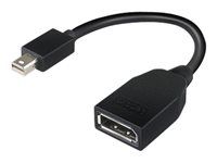 Adaptér DisplayPort - Mini DisplayPort (M) do DisplayPort (F) - 17.6 cm - pro ThinkCentre M70; M75t Gen 2; M80; M90; ThinkStation P330 Gen 2; P34X; P350; P520; P620