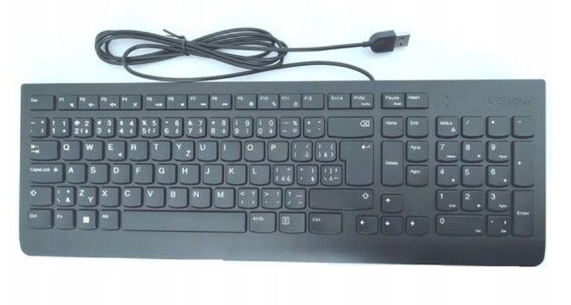Lenovo Essential Wired Keyboard/Drátové USB-A/CZ/SK/Černá