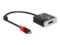 Externí video adaptér - VL100 - USB-C - DisplayPort - černá - maloobchod