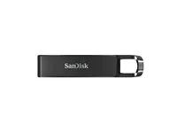 Jednotka USB flash - 256 GB - USB 3.1 Gen 1 / USB-C