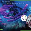 (CZ) Neviditelný svět. Vzdělávací publikace. Pevná vazba