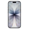 APPLE iPhone 17 256GB Black