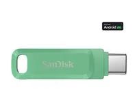 Jednotka USB flash - 64 GB - USB 3.2 Gen 1 / USB-C - zelená absinthe