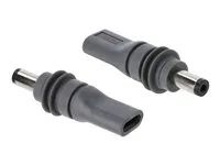 Delock - Adaptér napájení - USB-C (F) do DC jack 5.5 mm x 2.1 mm (M) - 20 V - 5 A - šedá