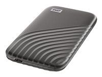 SSD - šifrovaný - 1 TB - externí (přenosný) - USB 3.2 Gen 2 (USB-C konektor) - AES 256 bitů - šedá space gray