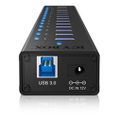 RAIDSONIC ICY BOX - USB 3.0 Hub, 13 port