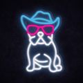 MANTA Pes v Klobouku, LED Neon plexi dekorace