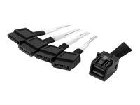 SFF-8643 to 4x SATA (SAS43SAT1M) - Kabel SATA/SAS - 4 x Mini SAS HD (SFF-8643) (Z) do SATA (Z) - 1 m - černá a stříbrná - pro P/N: SFF86448PLT2