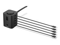 Dobíjecí stanice - 19 watt - 1 A - 5 výstupní konektory (USB-C) - černá - celý svět