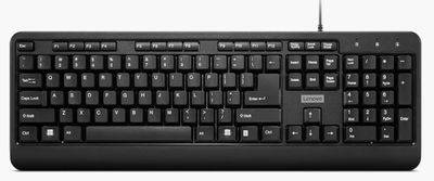 Lenovo 160/Drátové USB-A/US layout/Černá