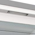 GORENJE FN619EAXL6  Skříňová mraznička