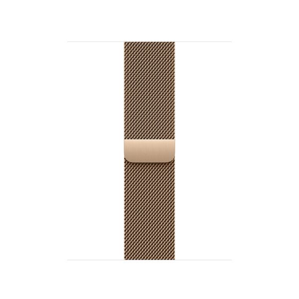 Watch Acc/42/Gold Milanese Loop