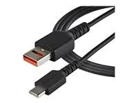 5V at 2.4A (12W max) (USBSCHAC1M) - USB kabel - USB (pouze napájení) (M) do USB-C (pouze napájení) (M) - 5 V - 2.4 A - 100 cm - lisovaný, pasivní - černá