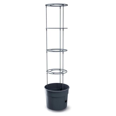 Květináč na pěstování rajčat TOMATO GROWER antracit 29,5 cm