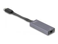USB Type-C  Adapter to 2.5 Gigabit LAN s