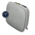 ELECTROLUX WA71-305GY, Čistička vzduchu