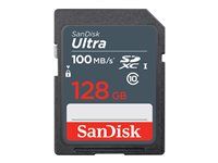 Paměťová karta flash - 128 GB - UHS Class 1 / Class10 - SDXC UHS-I