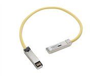 Patch kabel - SFP (M) do SFP (M) - 50 cm - pro Catalyst 3560, 3560E, 3560G, 3560V2, 3560X