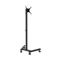 SBOX FS-622, Podlahový stojan na TV, 13" - 50"