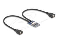 Mini PCIe Adapter full size to 2 x USB 2