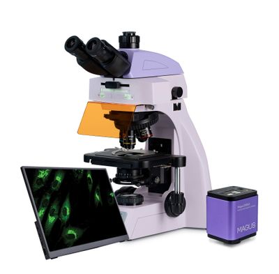 Fluorescenční digitální mikroskop MAGUS Lum D450L LCD