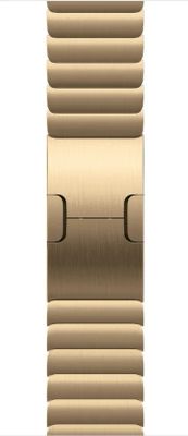 Watch Acc/42/Radiant Gold Link Bracelet