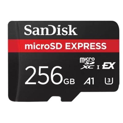 SanDisk EXPRESS SDXC 256GB 880MB/s A1, EX