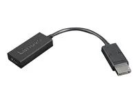 Video adaptér - DisplayPort s piny (male) do HDMI se zdířkami (female) - 22.5 cm - černá - podporuje 4K