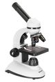(CZ) Mikroskop Levenhuk Discovery Nano