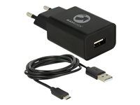 Síťový adaptér - 12 watt - 2.4 A (USB) - na kabelu: Micro-USB - černá