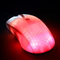 DELTACO GAMING WM87, Myš, USB, bílá