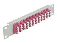 Propojovací panel - montáž do racku - LC x 12 - šedá - 1U - 10"