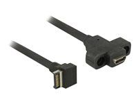Cable USB 10 Gbps Type-E Key A 20 pin ma