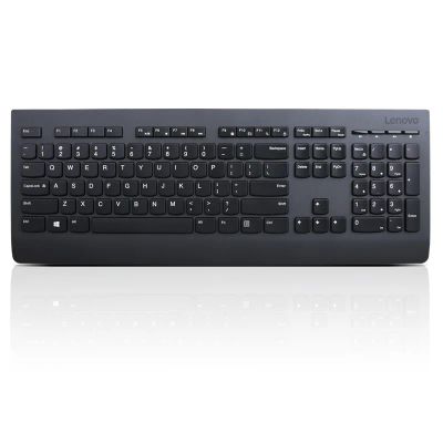 Lenovo Professional Wireless Keyboard/Bezdrátové USB/CZ/SK/Černá