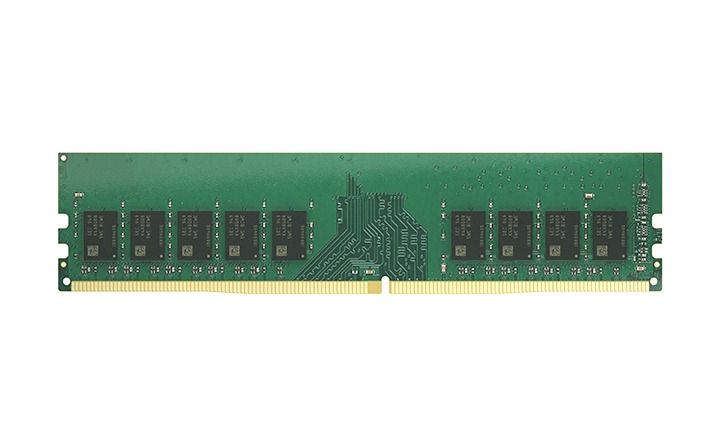 Synology D4EU02-8G