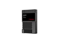 SanDisk SN861 - SSD - Enterprise - šifrovaný - 15.36 TB - interní - 2.5" - U.2 PCIe 5.0 x4 (NVMe) - TCG Opal Encryption