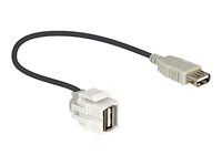 Modul - USB Type A