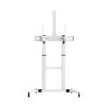 SBOX FS-3610-W, Podlahový stojan na TV, 60" - 100"