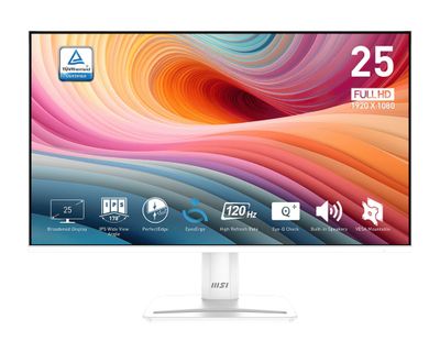 MSI Pro/MP251W E2/24,5"/IPS/FHD/120Hz/1ms/Bílá/2R