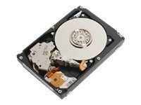 Pevný disk - 1.8 TB - interní - 2.5" - SAS 12Gb/s - 10500 ot/min. - vyrovnávací paměť: 128 MB