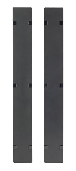 Hinged Covers for NetShelter SX 750mm Wide 45U Vertical Cable Manager (Qty 2)