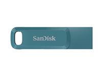 Jednotka USB flash - 256 GB - USB 3.2 Gen 1 / USB-C - navagio bay