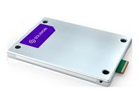 SSD - Read Intensive - 30.72 TB - interní - E3.S - PCIe 4.0 x4 (NVMe)