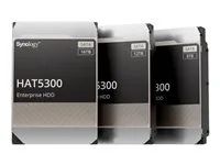 Pevný disk - 12 TB - interní - 3.5" - SATA 6Gb/s - 7200 ot/min. - vyrovnávací paměť: 256 MB - pro Deep Learning NVR DVA3221; Disk Station DS1621, DS1821; RackStation RS1221, RS3621, RS4021