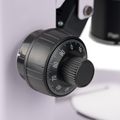 Stereomikroskop MAGUS Stereo A10