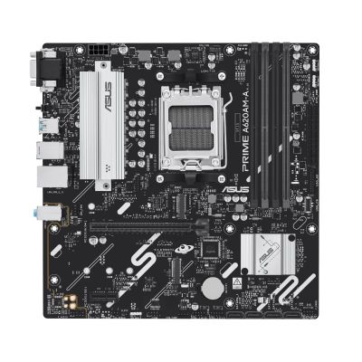 ASUS prime A620AM-A-CSM