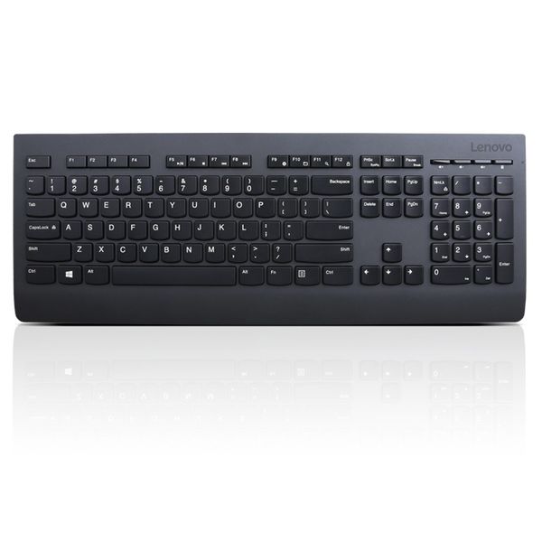 Lenovo Professional Wireless Keyboard/Bezdrátové USB/CZ/SK/Černá