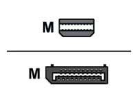 Adaptér DisplayPort - Mini DisplayPort (M) do DisplayPort (M)