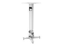 Montážní sada (stropní montáž, telescoping rod) - pro projektor - satin white - stropní montáž