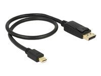 Adaptér DisplayPort - DisplayPort (M) do Mini DisplayPort (M) - 50 cm - černá